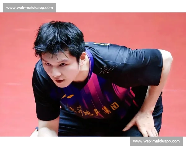 樊振东厦门出战乒超!体旅联动解锁 “观赛 + 文化” 新玩法 樊振东厦门出战乒超!体旅联动解锁 “观赛 + 文化” 新玩法