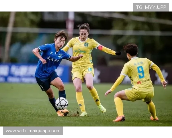 北京女足主场 2-0 完胜广东队 王珊珊王新灵建功